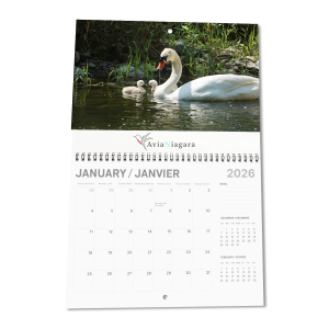 Appointment Coiled Wall Calendar - 12 Custom Images