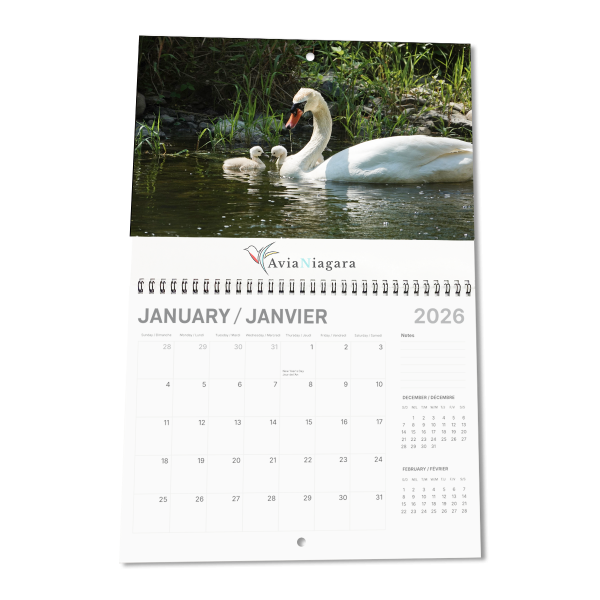 Appointment Coiled Wall Calendar - 12 Custom Images