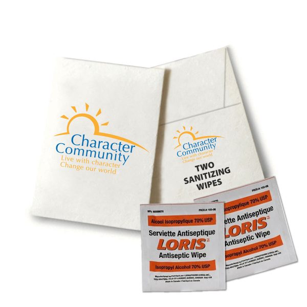 Hand Sanitizer Wipes - 2 pack