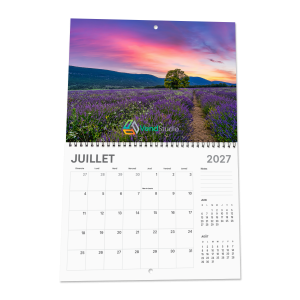 Appointment Coiled Wall Calendar - 12 Custom Images